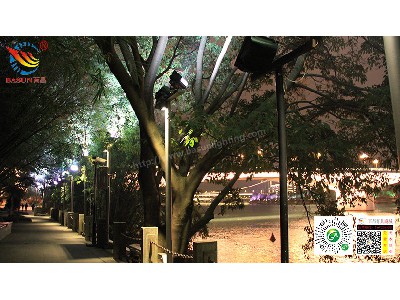 Landscape lighting case